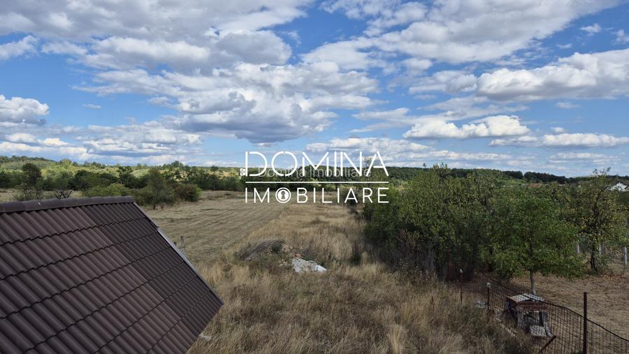 Vanzare casa D+P+M si teren 4334 mp - Runcu, Sat Rachiti - 10