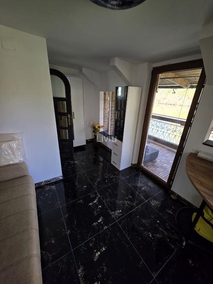 Vând teren cu iaz și livadă de nuci – Ilișești, aproape de Suceava - 10