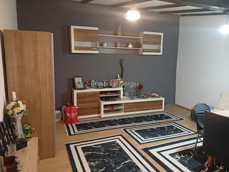 Casa cu etaj ,mansarda,anexe  - 9