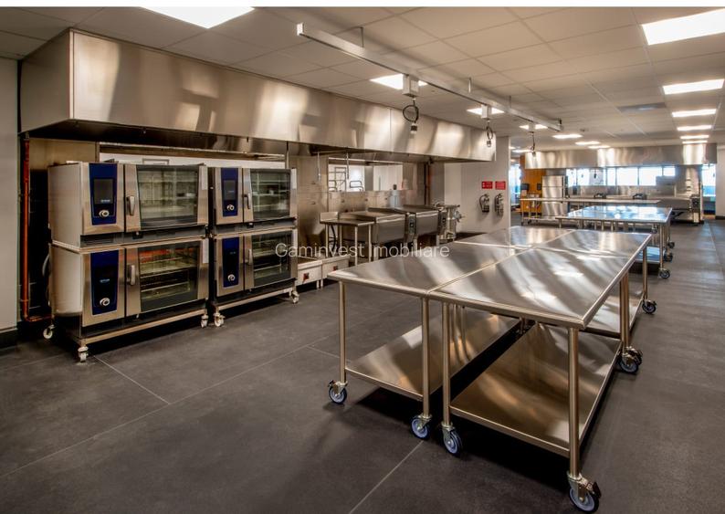 Spatiu comercial si spatiu de productie de vanzare, Oradea, Bihor - 2