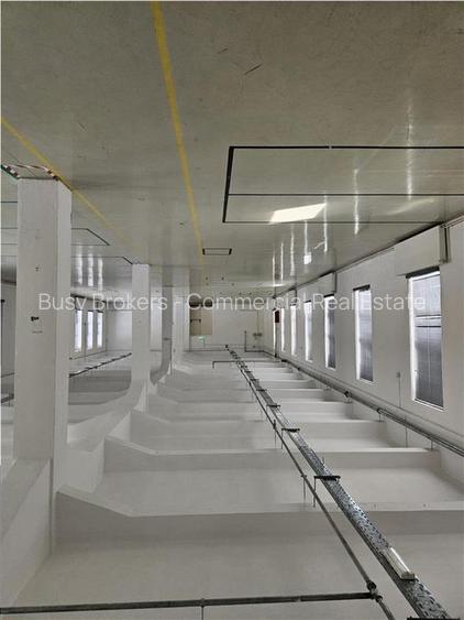 Spatiu Industrial - 3500 mp - Productie - Depozitare - Office - 25