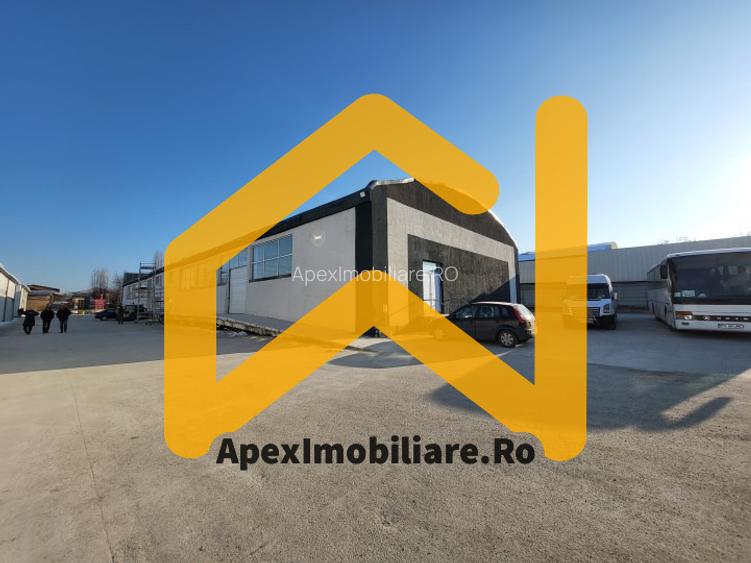 Hala Industriala Xenia – 1800 mp, Acces TIR, Parcare 50 Auto - 4