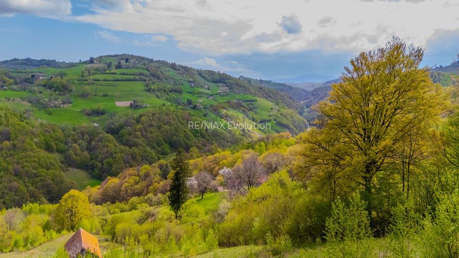 Teren 7,195mp Poiana Marului /Extravilan/Oportunitate investiție - 7