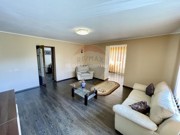 Casă Tifesti teren si vie - 24