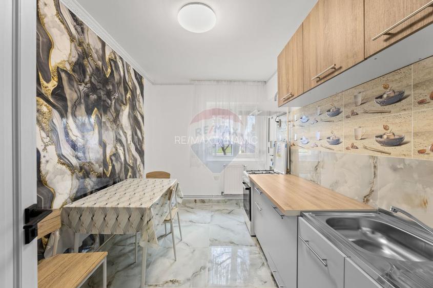 Apartament cu 2 camere, decomadat, de închiriat în zona Aradul Nou - 3