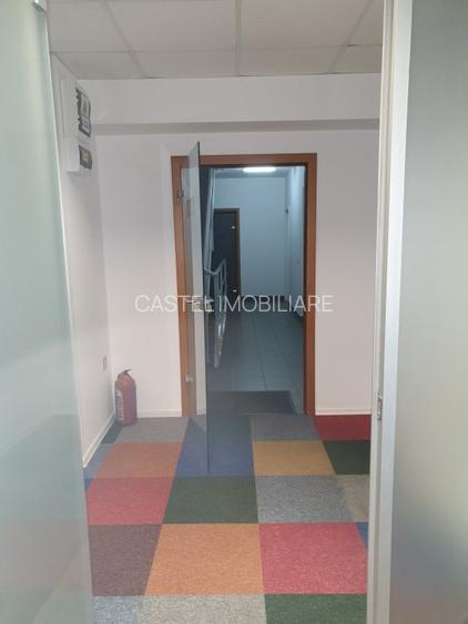 Calea Floreasca - Ceaikovski - 11