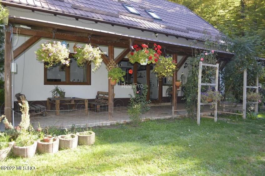 Topoloveni - Conacul Ion Mihalache, Domeniu pe 5 Hectare - 53