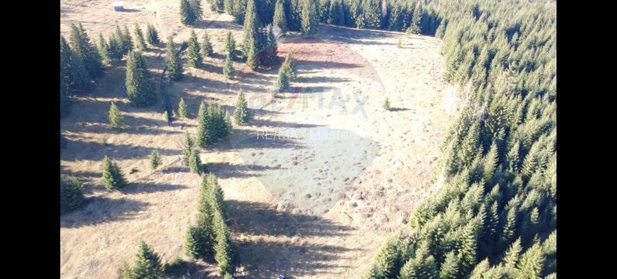 Teren 16,289mp Coverca / Drumul Bucinis - 7