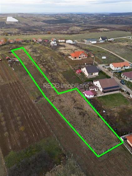 RECO . Teren intravilan Saldabagiu de munte . - 4