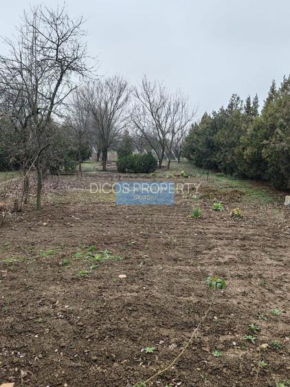 Teren 2.600 mp, utilități, Str. Merișor – Giurgiu - 4