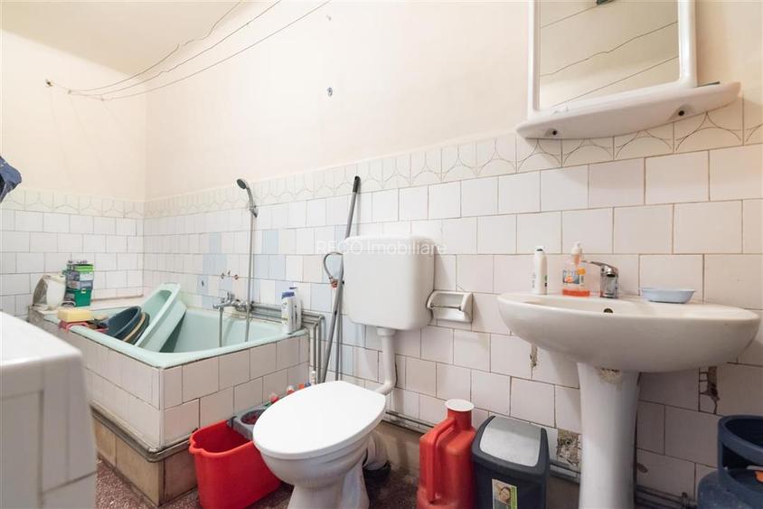 Teren mare cu 2 case si front la 2 strazi in Tamaseu - 17