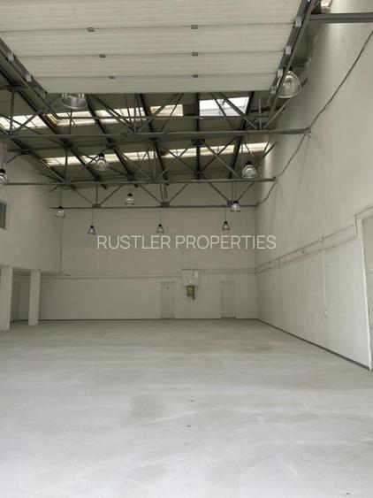 Hala de inchiriat  Ștefanești - DNCB - 7