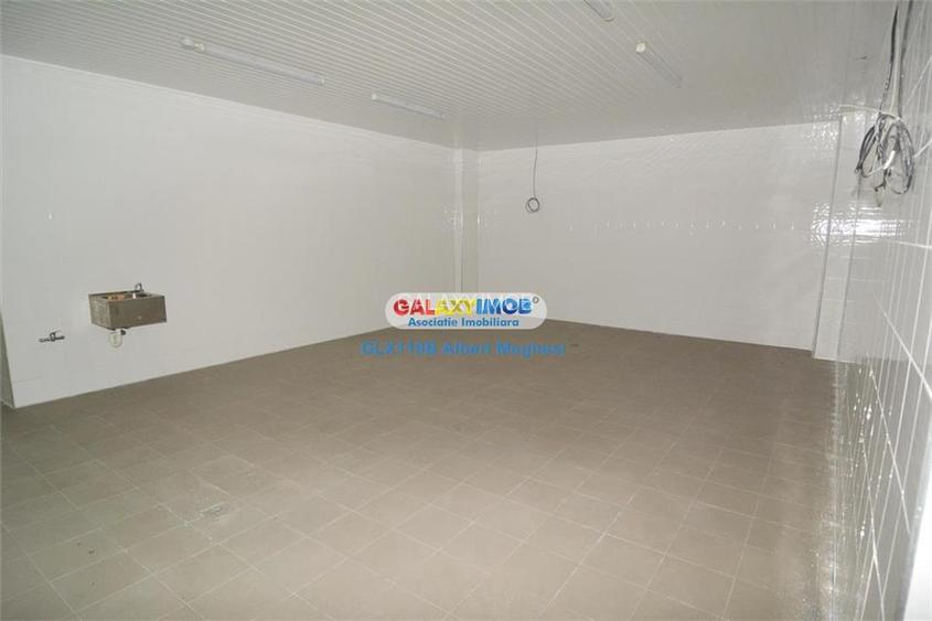 Vanzare spatiu productie alimentara P-ta Delfinului - 8