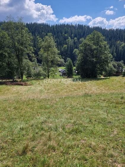 Vand teren 7800mp din care 3000 intravilan si 3800 mp padure  - 5