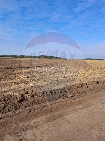 Teren 21,177mp Santaul Mic / Strada - - 2