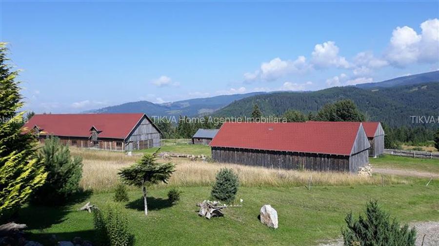 Casa din busteni cu ferma zootehnica si afacere (Tengheler, Com. Ditrau) - 24