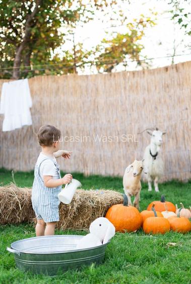 Spațiu pentru evenimente disponibil pentru închiriere pe termen lung - 5