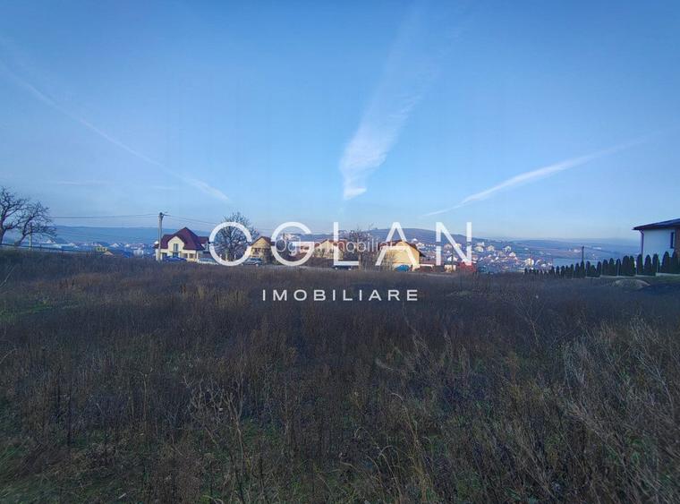 Teren Imprejmuit, la sosea (DN14)- SURA MARE - 6