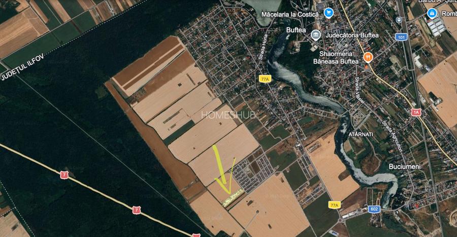 Teren intravilan 13124 mp cu front 44.5 m | Buftea - Cartierul Tineretului - 4