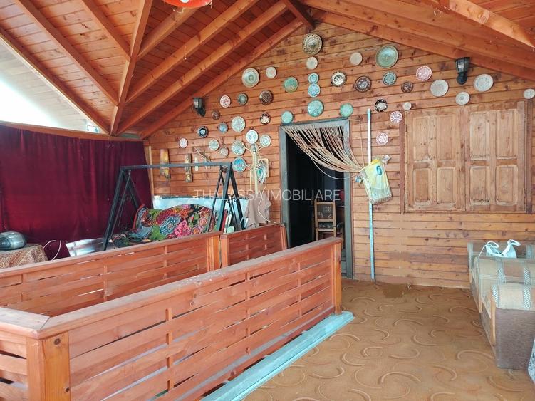 Proprietate de vacanta Valea Oltului - BREZOI - 12