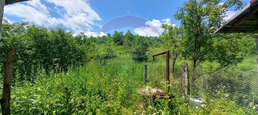 Teren Intravilan de vanzare 3551mp Poiana Copaceni Com Gura Vitioarei - 9