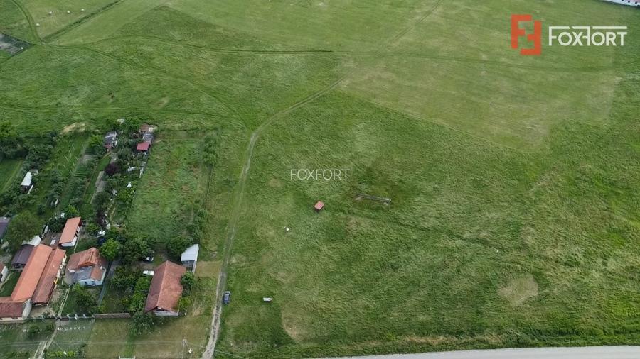 COMISION 0% Teren intravilan 6400 mp la drum asfaltat - Padureni - 7