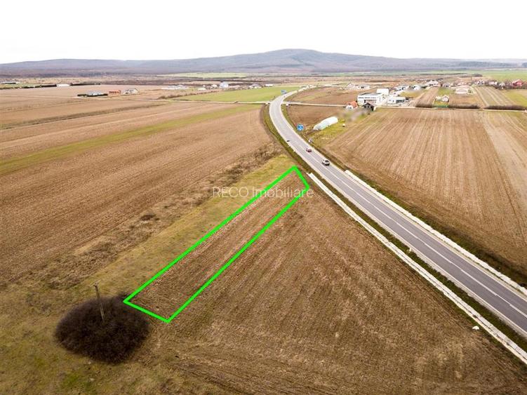 RECO Teren intravilan in Cheriu - 3