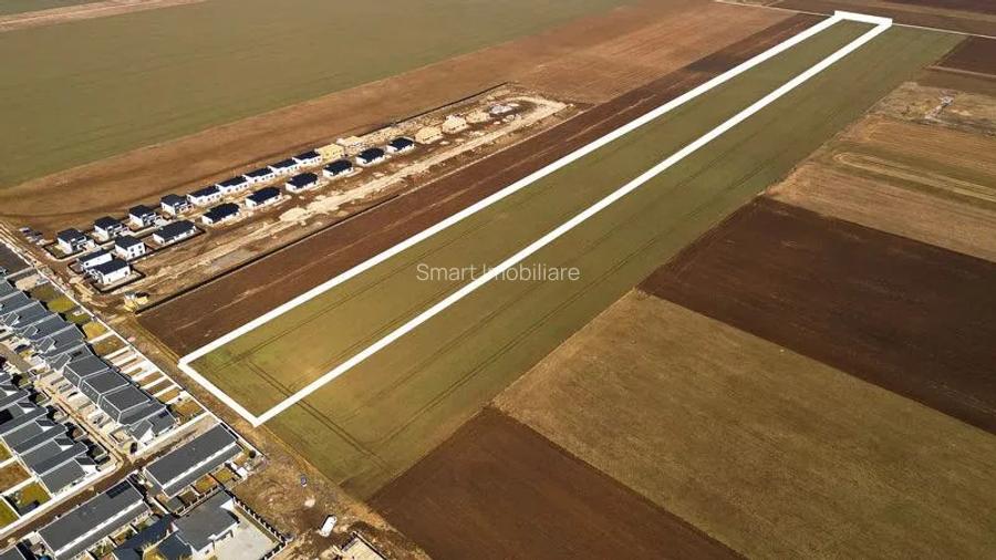 Teren constructii 4ha Tarlungeni - 5