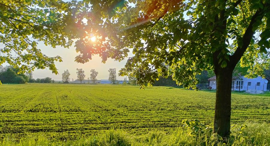 Loturi de casa in ansamblu rezidential la 20 minute de Bucuresti - 2