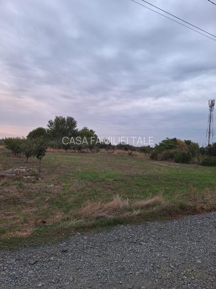 !!! 608 mp ... zona Ikea Dumbravita....160 euro/mp - 2