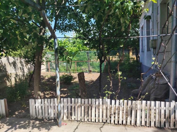 Casa de vanzare, 741 mp teren, zona Coșoveni -Dolj