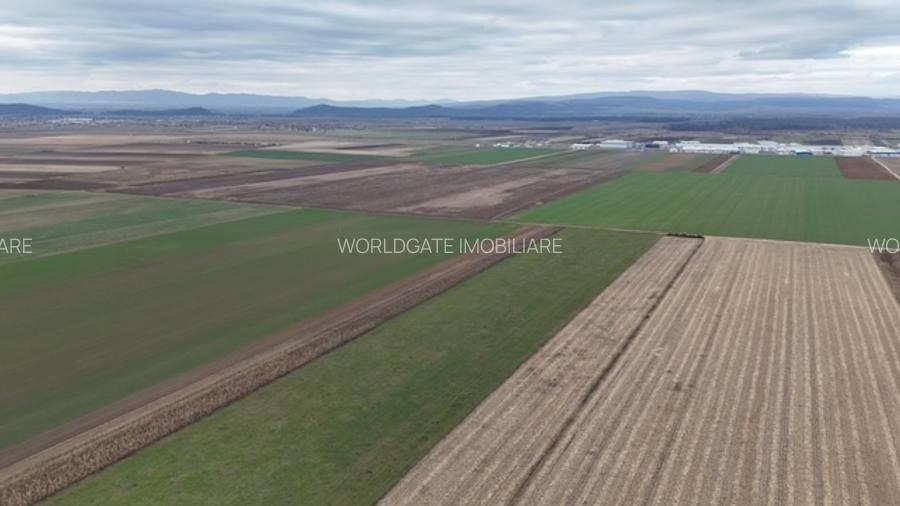 Vanzare Teren Prejmer-Zona Parc Industrial - 4