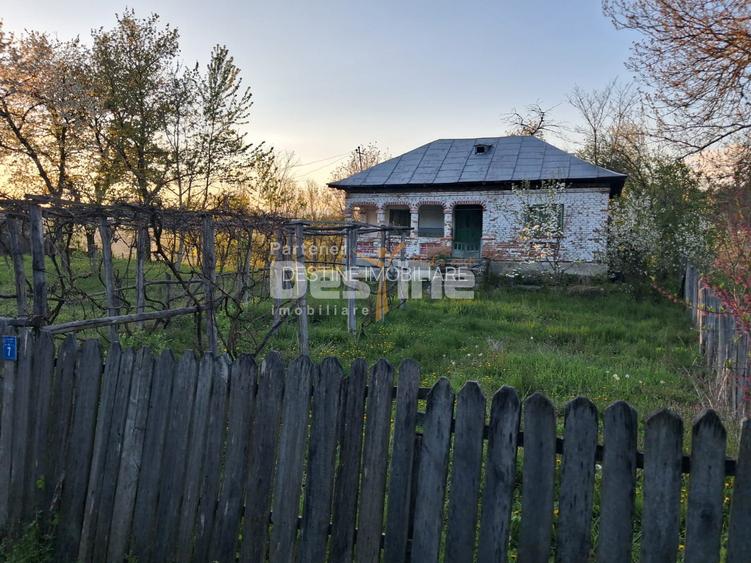 Casă bătrânească cu teren 1150 mp, vie și livadă – Șerbănești, Păușești, Vâlcea - 3