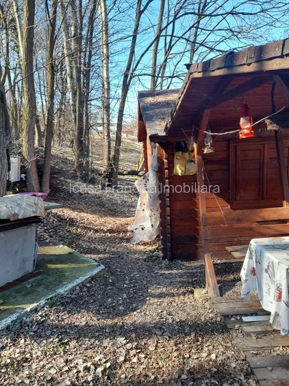 Spre vanzare cabana+ teren intravilan 1050mp pretabil casa de vacanta/locuinta - 6
