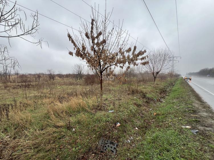Teren la DN7 - ideal investitie (Benzinarie, spalatorie, hala, rezidential) - 9