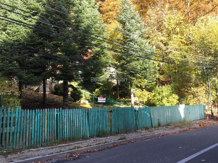 Casa si teren 1000 mp - zona deosebita, pe Furnica, langa Peles - 4