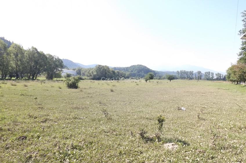 Teren de vanzare - 2