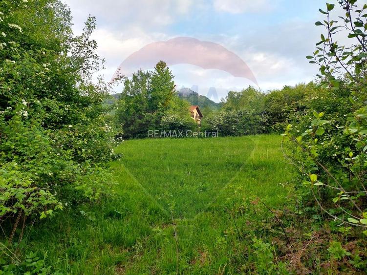 Teren Bran-Zarnesti - Tohanita, 4223mp - 6