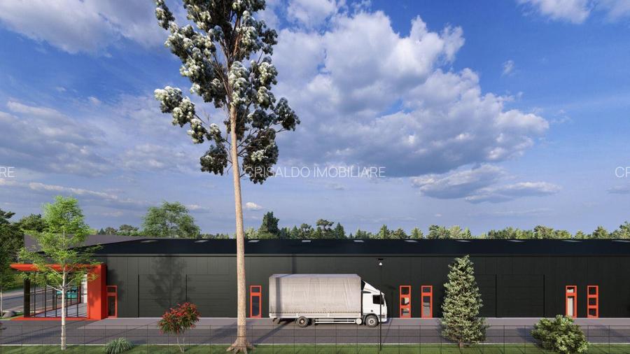 Proiect Nou Buftea - Rasaritului - 4