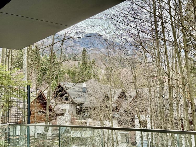 Apartament la parter cu gradina privata,  în Foresti Sinaia - 2