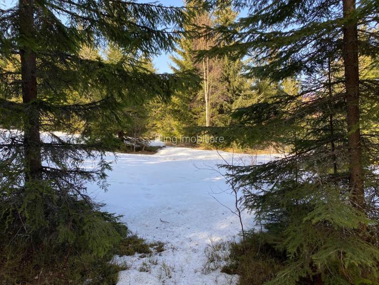 Teren 5000 mp in Baisoara, langa pensiunea Skiland si cabana Merlin! - 3