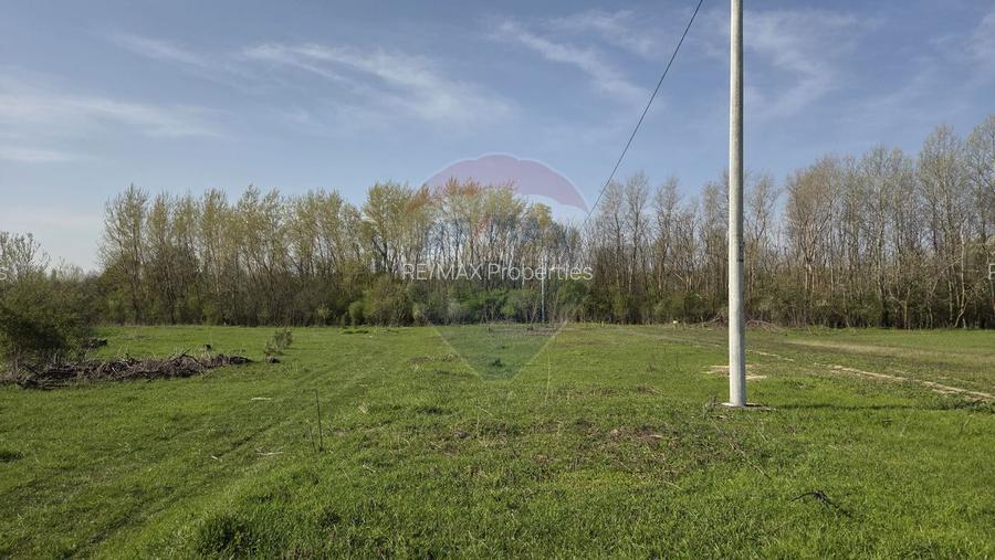 Teren intravilan de vanzare 500 mp, com Domnesti/Teghes - 3