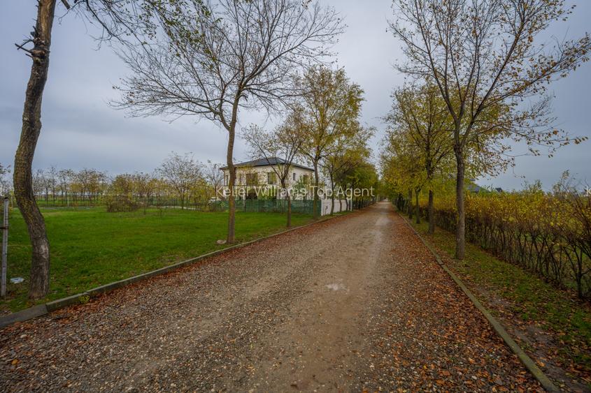 Teren intravilan de vânzare | Cartier rezidențial deosebit | Afumați - 3