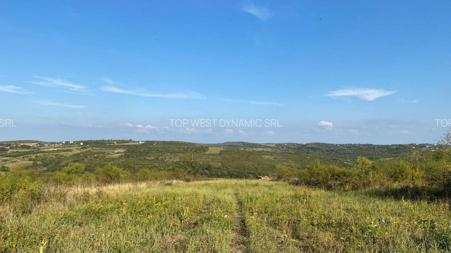 Teren intravilan, Saldabagiul de Munte - 2