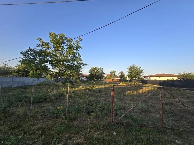 2 terenuri de 1250 mp fiecare  - 3