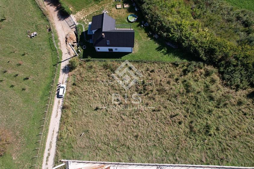 Teren Intravilan - Viisoara - 10