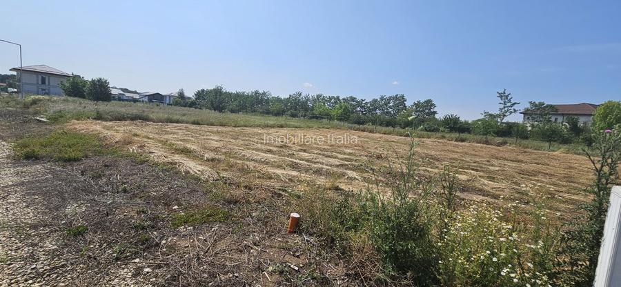 3 loturi cu suprafete de 600 mp si  deschidere de 20 in Eden Forest - 2