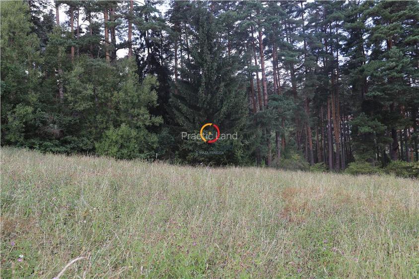 teren intravilan cu PUZ si PUD 2 loturi - 2