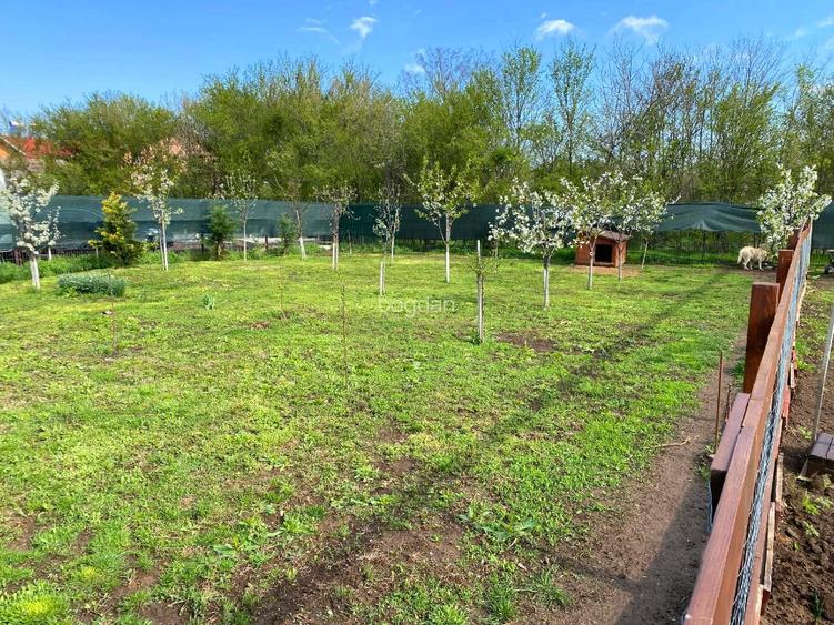 Soseaua Snagov-central, teren 400mp - 2