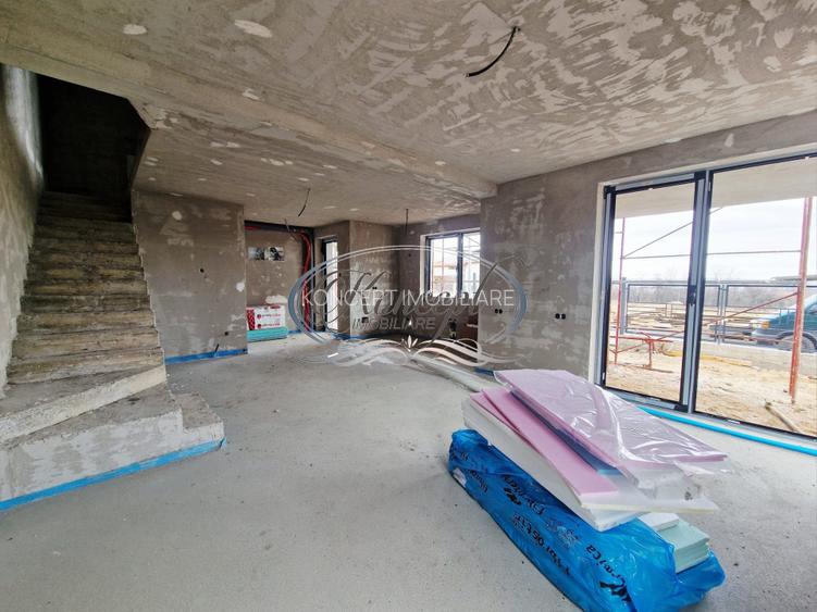 Duplex premium si FINISAT pe Mihai Romanu - 6
